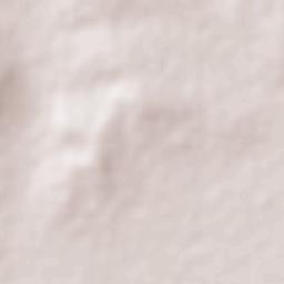 Colonia Rafael Corrales Ayala Terrain Map