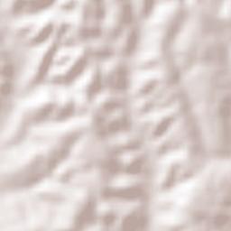 Capulín de Bustos Terrain Map