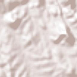 Tolimán Terrain Map