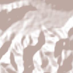 Zoquitipán Terrain Map