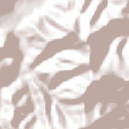 Yahualica Terrain Map