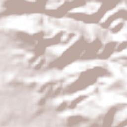 Benito Juárez Terrain Map