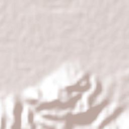 La Camelia Terrain Map