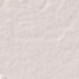 Hidalgo Amajac Terrain Map