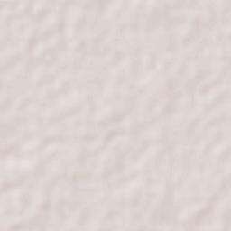 Dzibikak Terrain Map