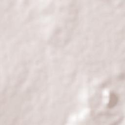 El Medineño Terrain Map