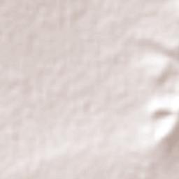 El Llano de Barajas Terrain Map