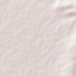 Medio Sitio Terrain Map