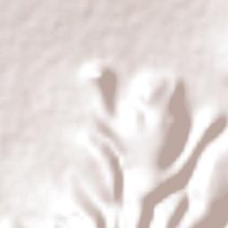 Guadalupe de Tambula Terrain Map