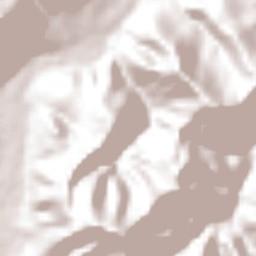 Pachiquita Terrain Map