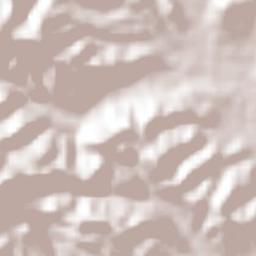 Xochimilco Terrain Map