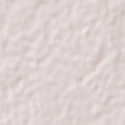 Quintana Roo Terrain Map