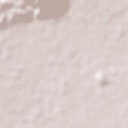 Valle de Banderas Terrain Map