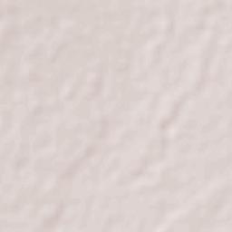 San Juan de Abajo Terrain Map