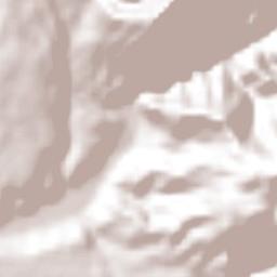 Amatlán de Cañas Terrain Map