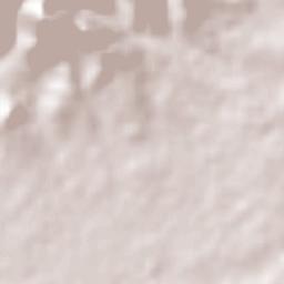 Tesistán Terrain Map