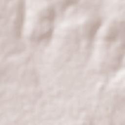 San Antonio de los Vázquez Terrain Map