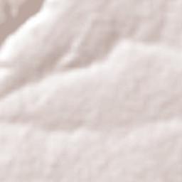 Tepatitlán de Morelos Terrain Map