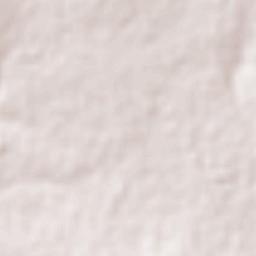 Capilla de Guadalupe Terrain Map