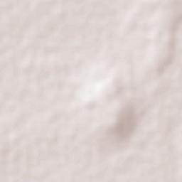 San Antonio el Rico Terrain Map