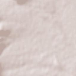 Cerro de la Cruz Terrain Map