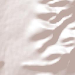 El Pinto Terrain Map