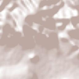 Carbonera Terrain Map