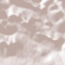 Zamorano Terrain Map