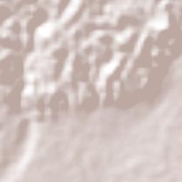 Bucerías Terrain Map