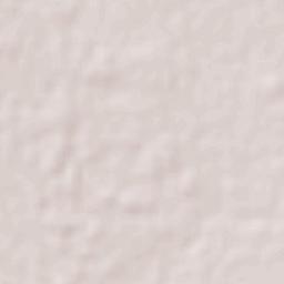 San José del Valle Terrain Map