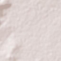 Nextipac Terrain Map