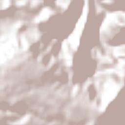 El Tempisque Terrain Map