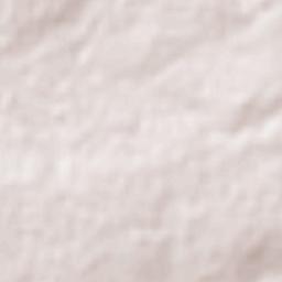 Buena Vista Terrain Map