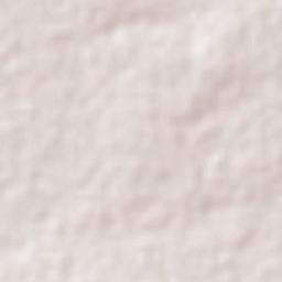 El Salero Terrain Map