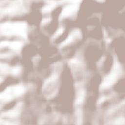 Palmillas de San Juan Terrain Map