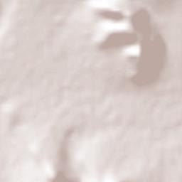 Tierra Blanca Terrain Map