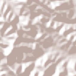 Tenantitla Terrain Map