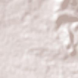 Colonia Cuisillos Terrain Map