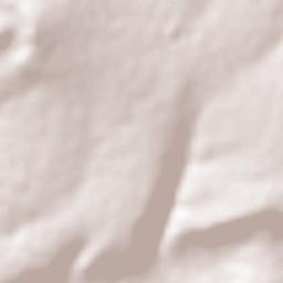 El Carricillo Terrain Map