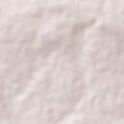 El Ocote Terrain Map