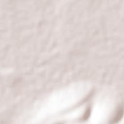 Guadalupe de Paso Blanco Terrain Map