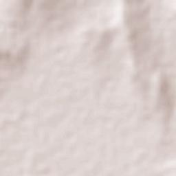 Ex-Hacienda del Copal Terrain Map