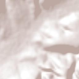 Jalpilla Terrain Map