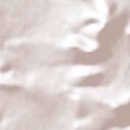 Santa Rosa Jauregui Terrain Map