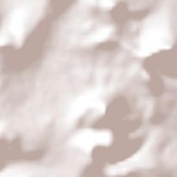 San José Buenavista Terrain Map