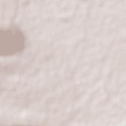 San Vicente Ferrer Terrain Map