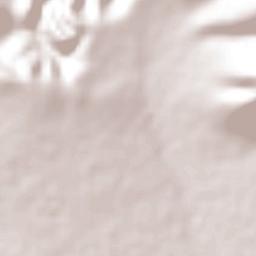 San José del Jagüey Terrain Map