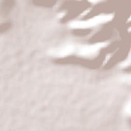 El Rincón Terrain Map