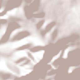 San Javier Terrain Map