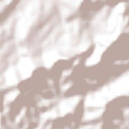 Francisco Z. Mena Terrain Map